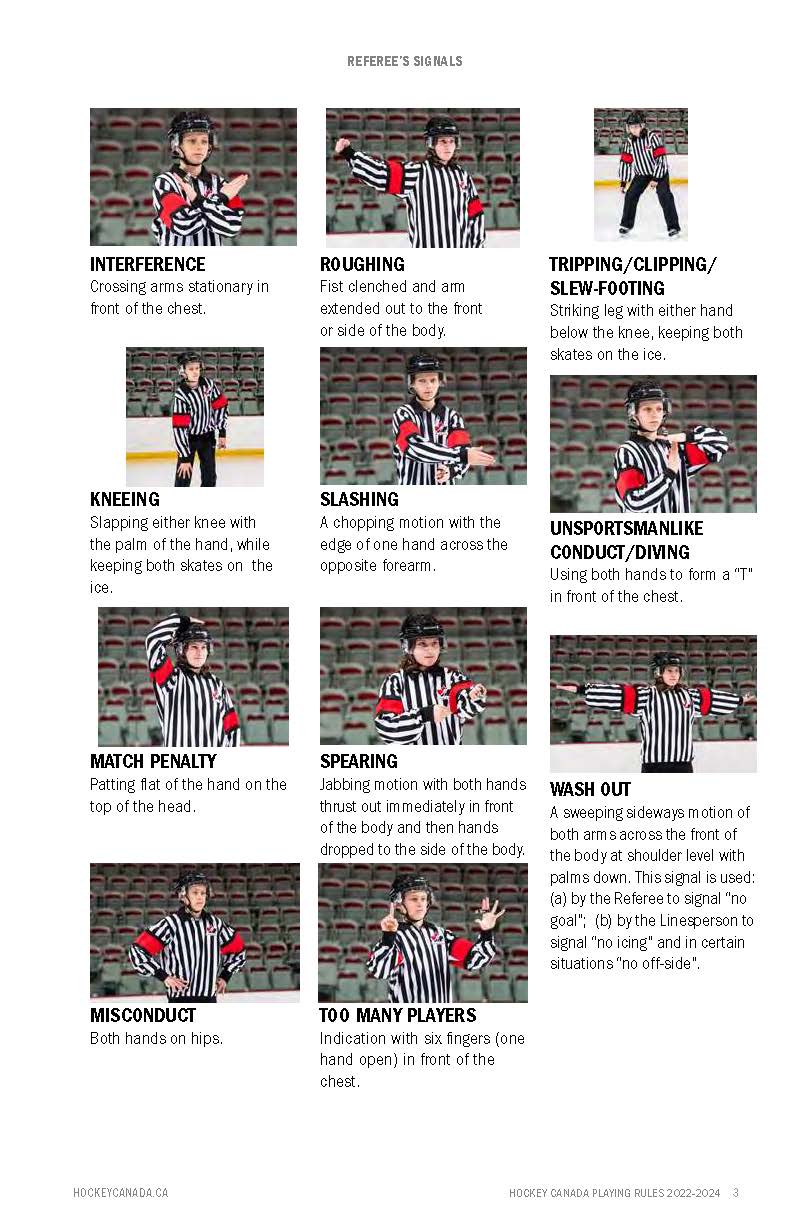 Lake Cowichan & District Minor Hockey Association Home of the "LAKERS